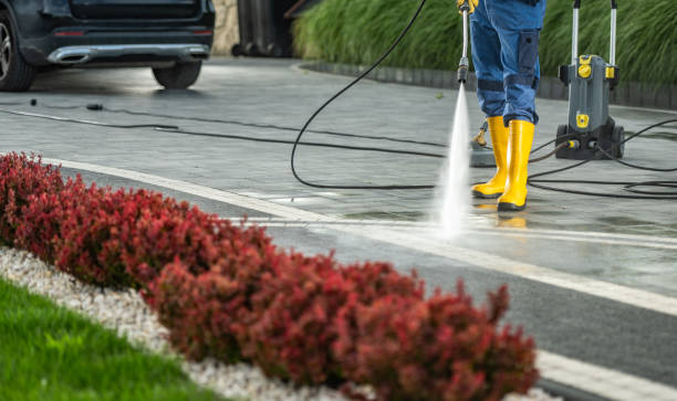 Best Sidewalk and Walkway Cleaning  in Buxton, NC